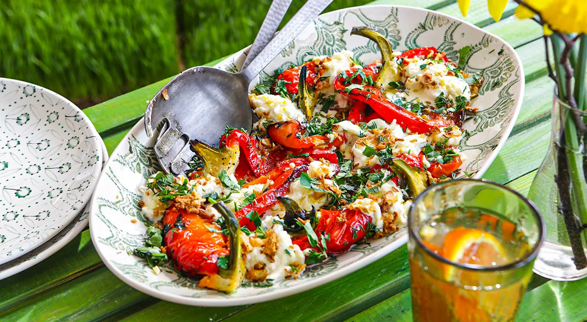 Förrätt av rostad paprika med stracciatella