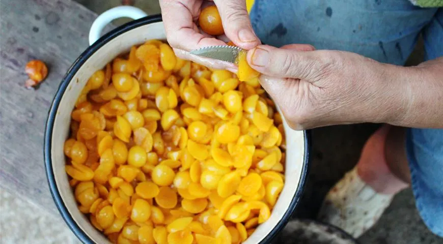 Det är tillrådligt att laga plommonsylt på dagen för inköp av frukten, noggrant välja orörd frukt